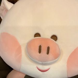 Meet your Posher, Cleo